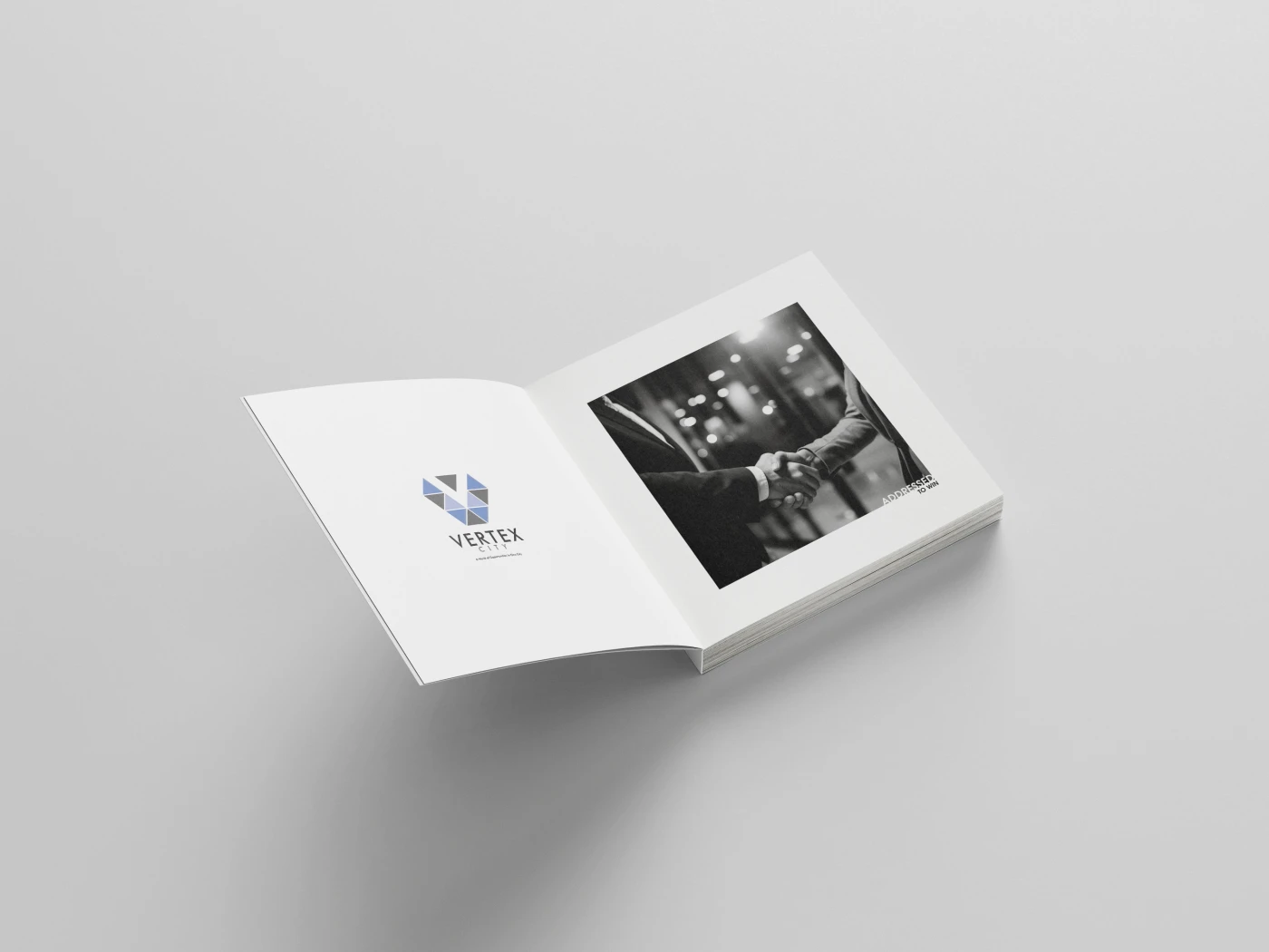 VS-Monolith-Brochure-2